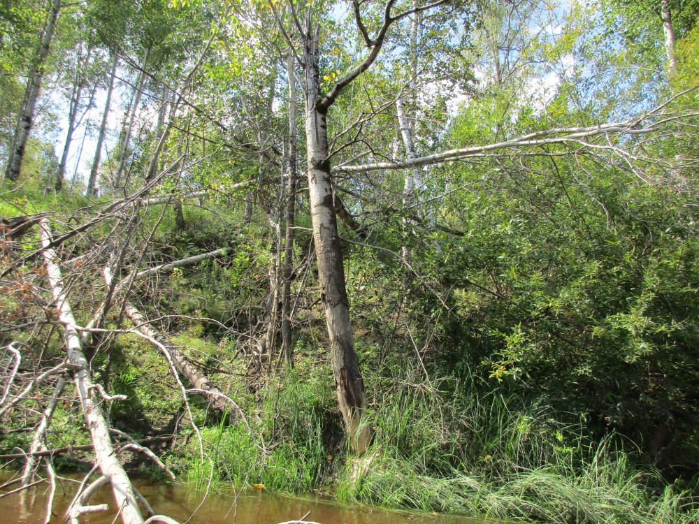 IMG_7509.JPG