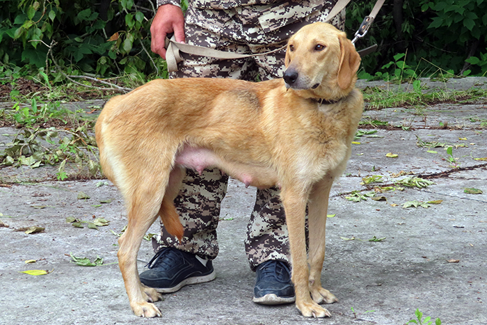 Тора_2722.JPG