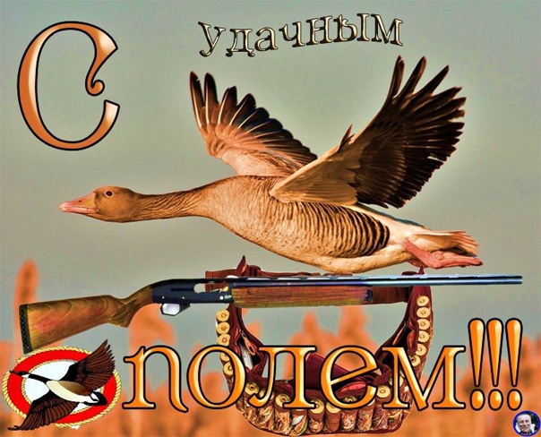 MpGPFdxdNsfoxHht6rJ6gij9FzJSiqN9VNHI3UeOuT0ovFg70PVPORsl9FDp6_VEjfHb7ChvVR3Q0OqHFn7AEATV.jpg