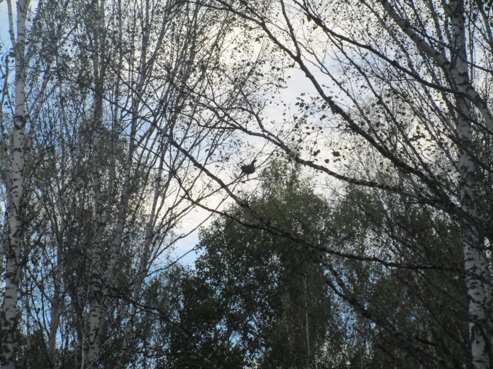 IMG_7653.JPG
