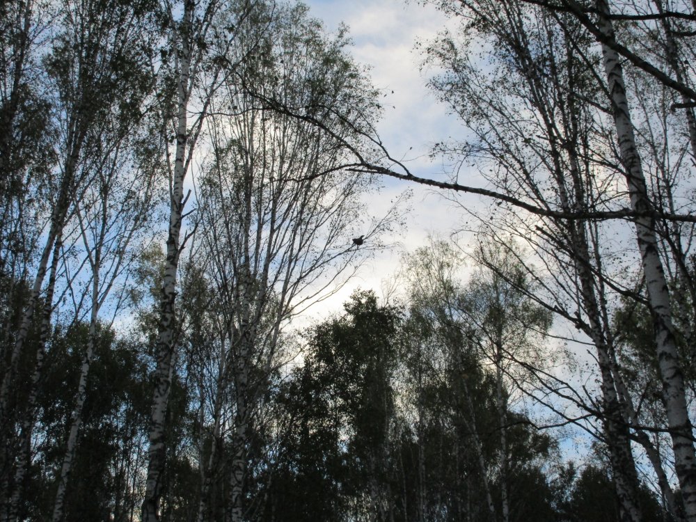 IMG_7659.JPG