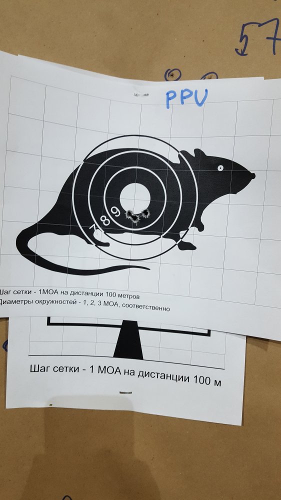 20191213_173343.jpg