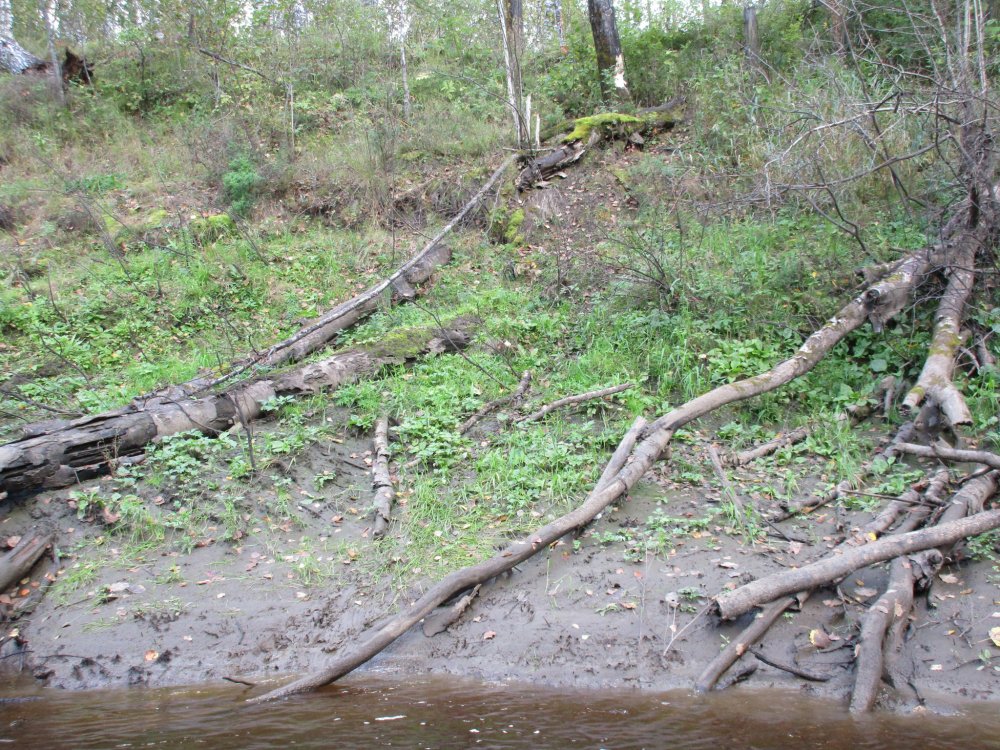 IMG_7694.JPG