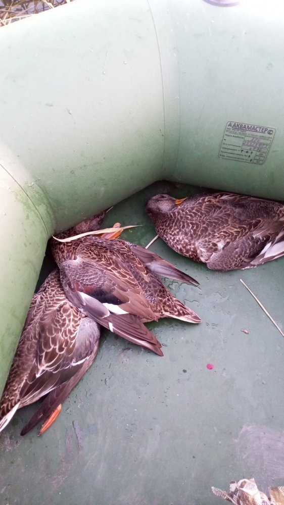 IMG-20250927-WA0080.jpeg