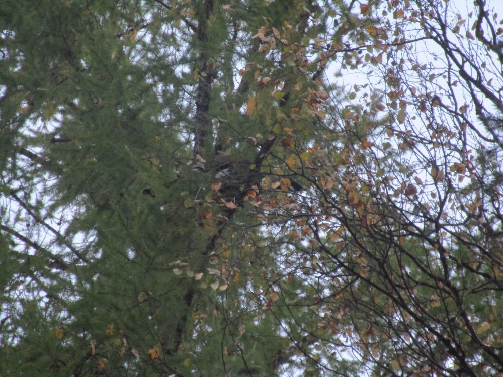 IMG_8000.JPG