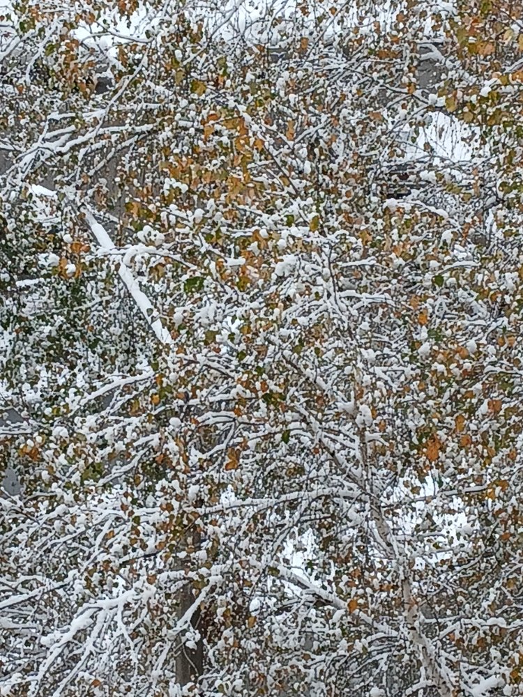 20251007_082047.jpg