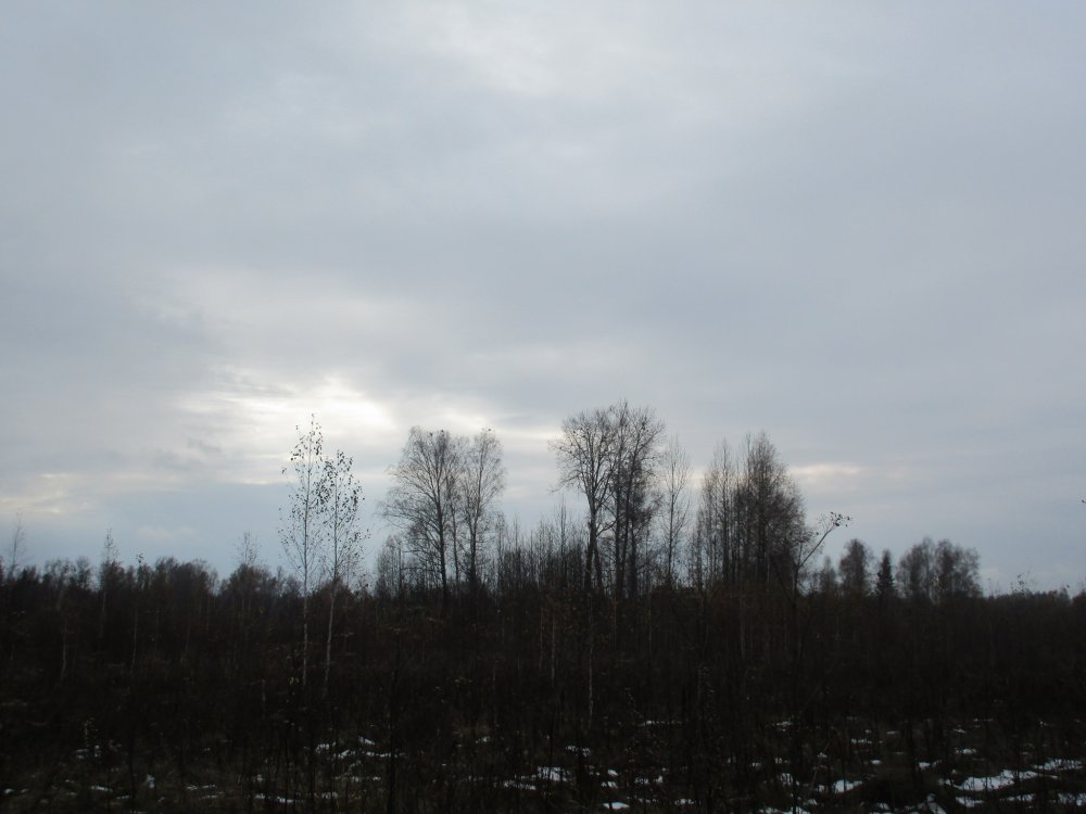 IMG_8238.JPG
