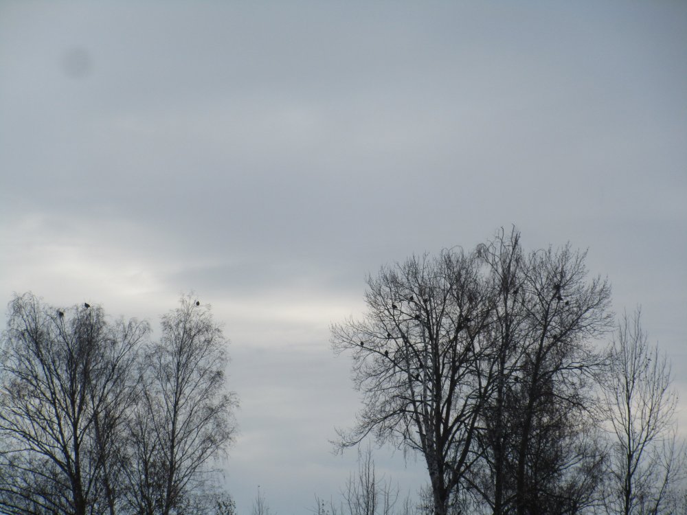 IMG_8239.JPG