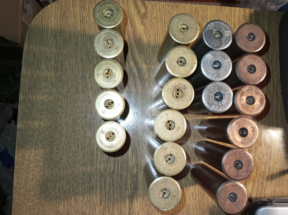 31541161_24503 (1).jpg