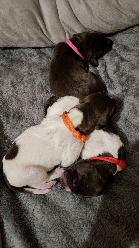 photo_2025-11-23_22-00-22 (2).jpg