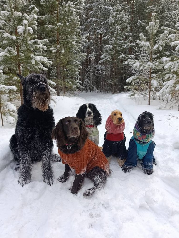 IMG_20260208_172216_219 (1).jpg