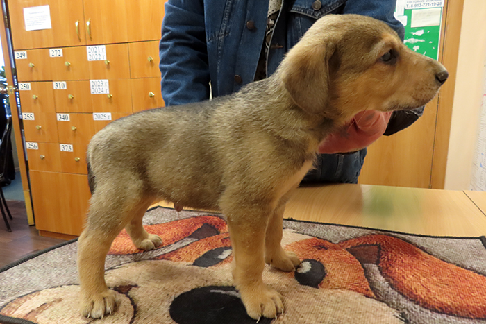 Ворчун IMG_5638.JPG