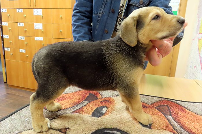 Ветка IMG_5.JPG