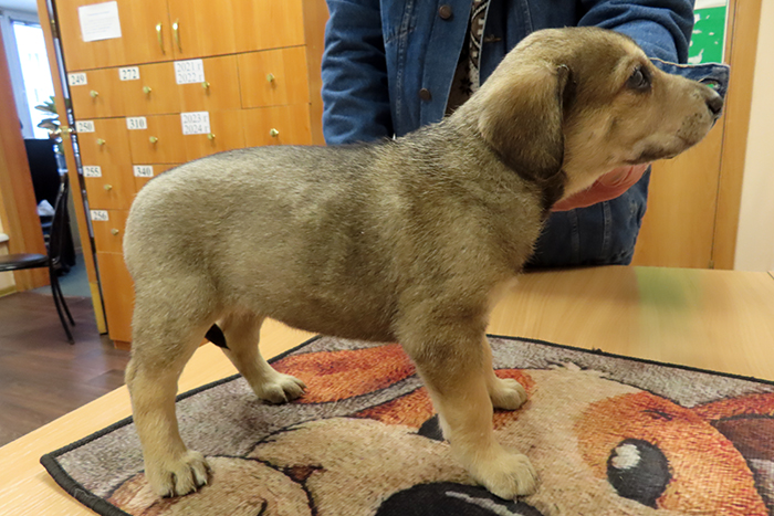 Волна IMG_5648.JPG