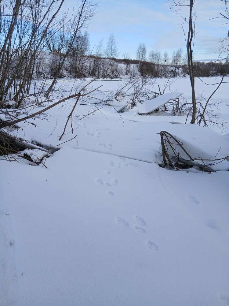 20260417_072339.jpg