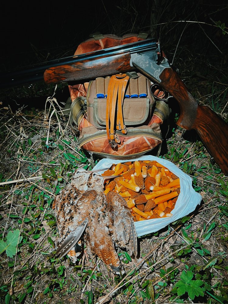 photo-output.jpeg