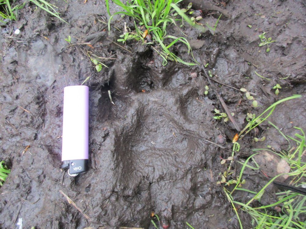IMG_9420.JPG