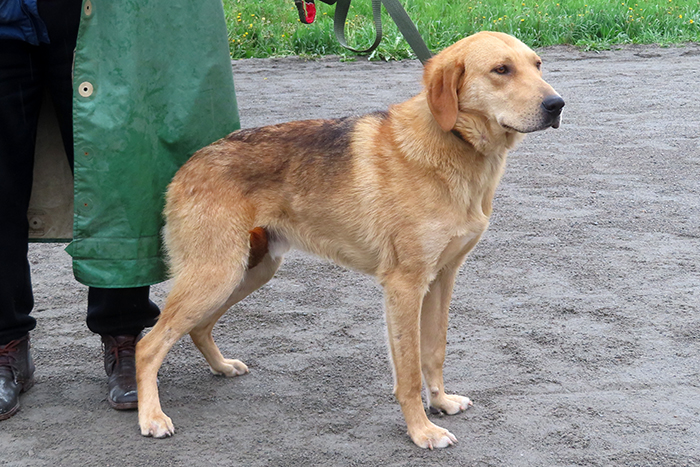 Восход IMG_628.JPG