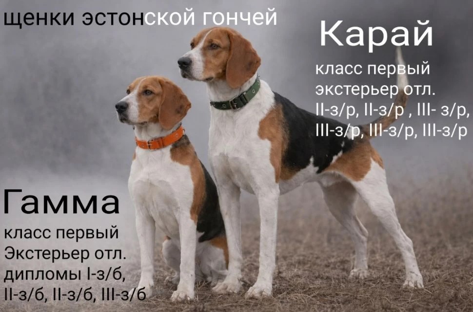 f3bce59e-f91b-48da-8187-273192fda7dd.jpeg