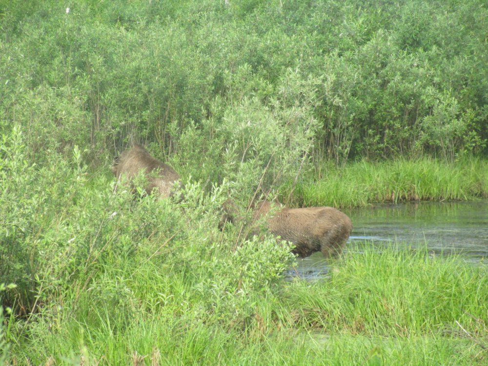 IMG_9463.JPG