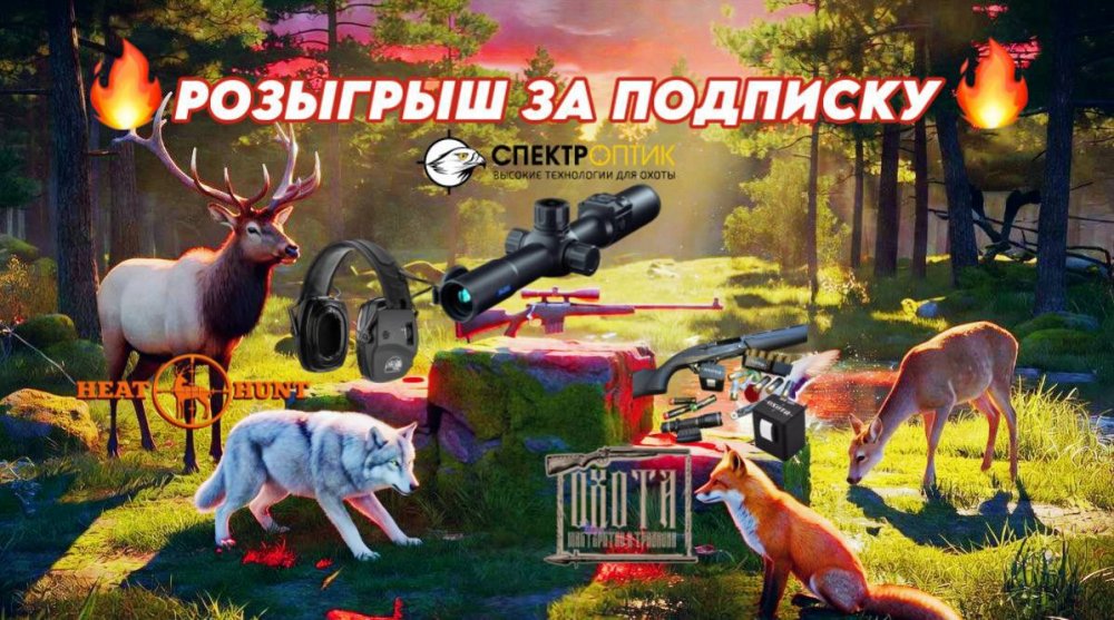2026-06-18 14.46.23.jpg