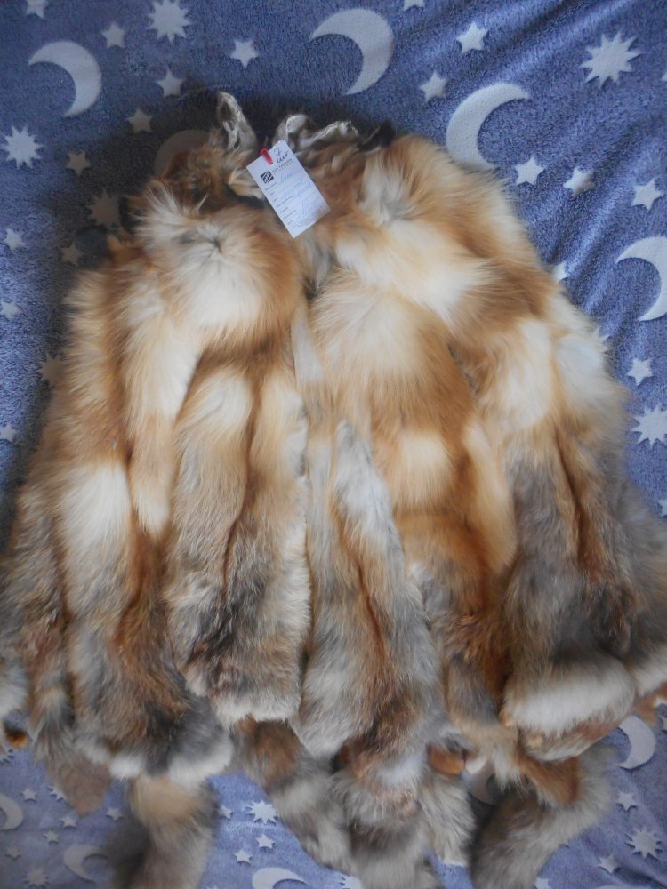 DSCN2939.JPG