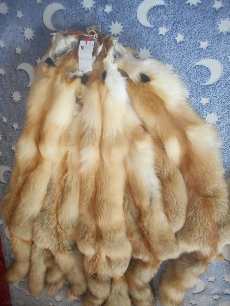 DSCN2940.JPG