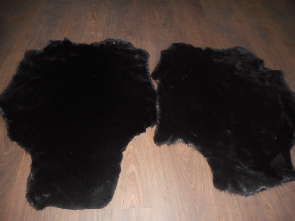 DSCN2966.JPG