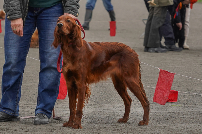 DSC074071 — копия.jpg