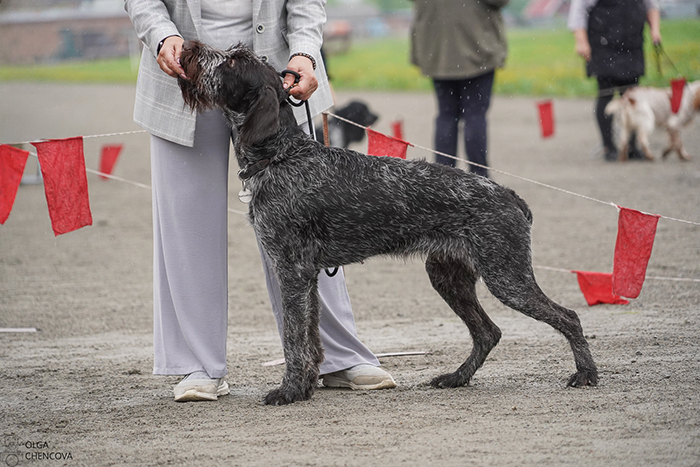 DSC080341 — копия.jpg