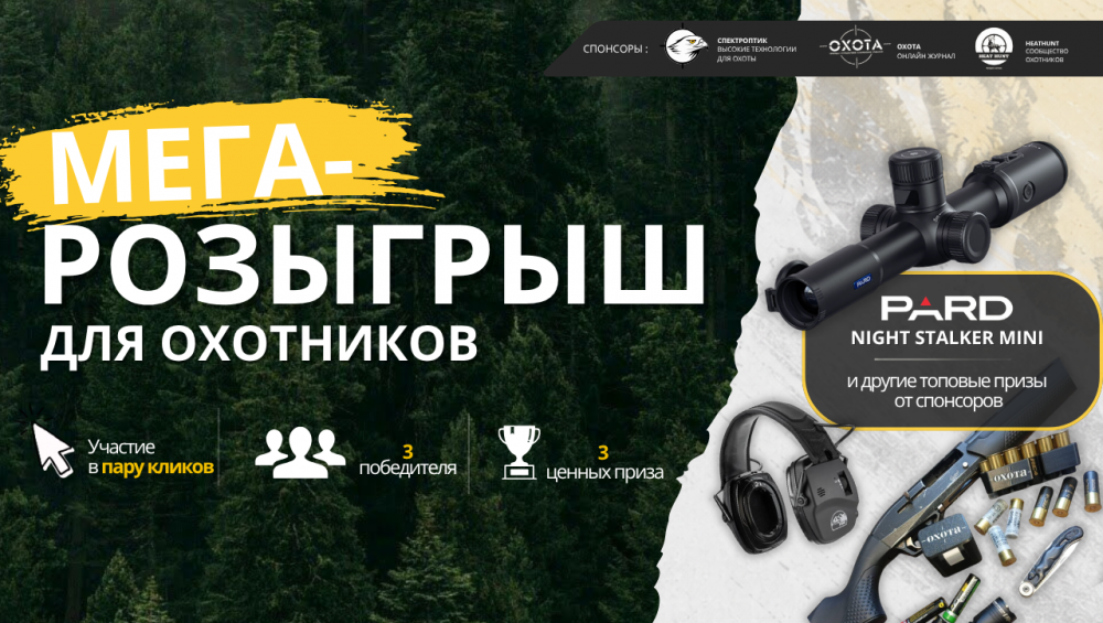 потсыбаннеры (2).png