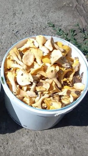 IMG_20260708_150008_904.jpg