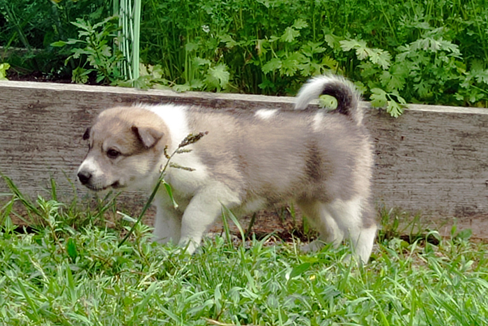 С IMG_20260719_140041.jpg