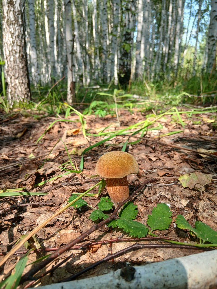 20260802_142636.jpg