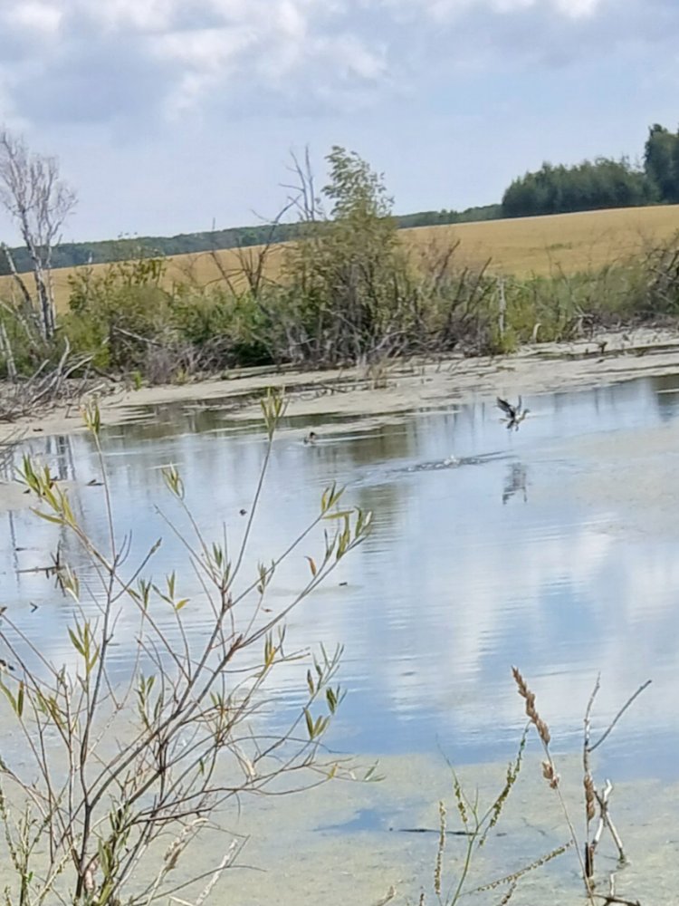 20260806_121135.jpg