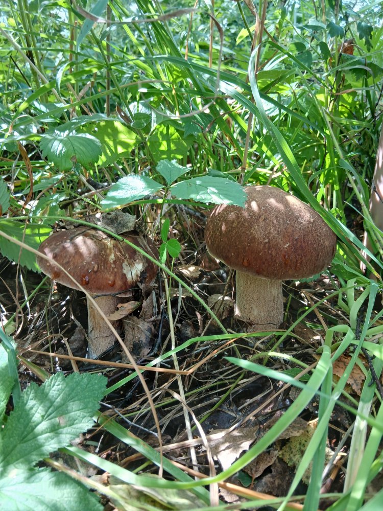 20260809_120447.jpg