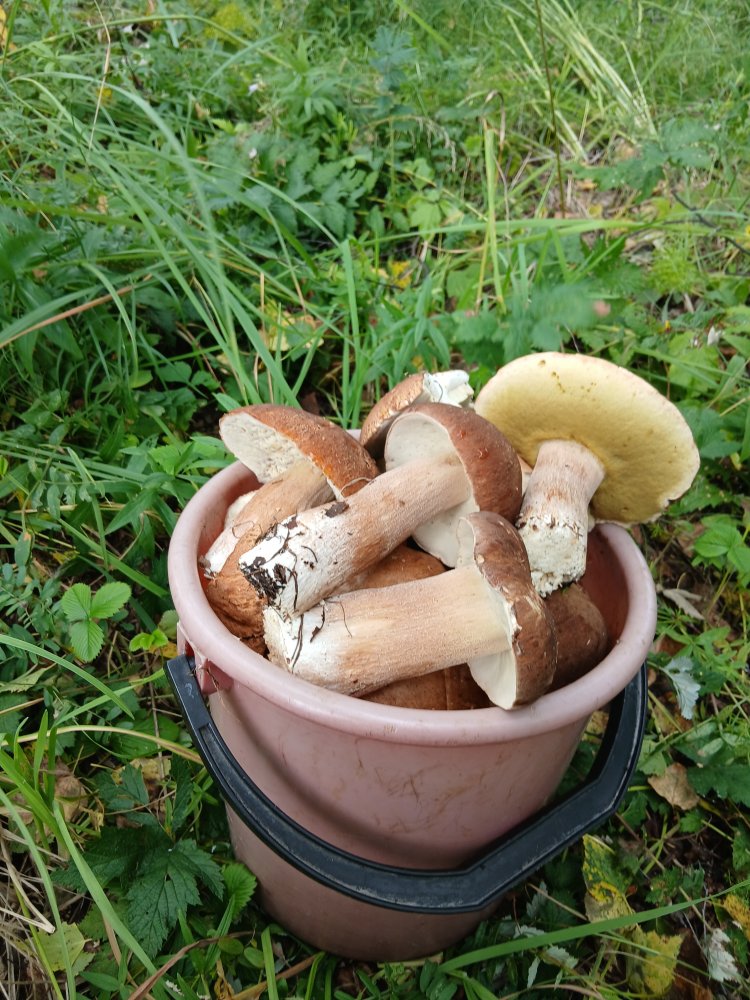 20260809_120757.jpg