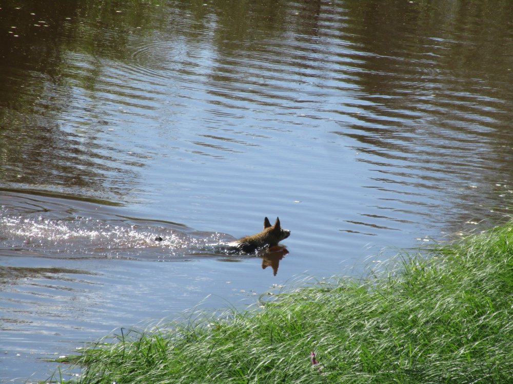 IMG_9656.JPG