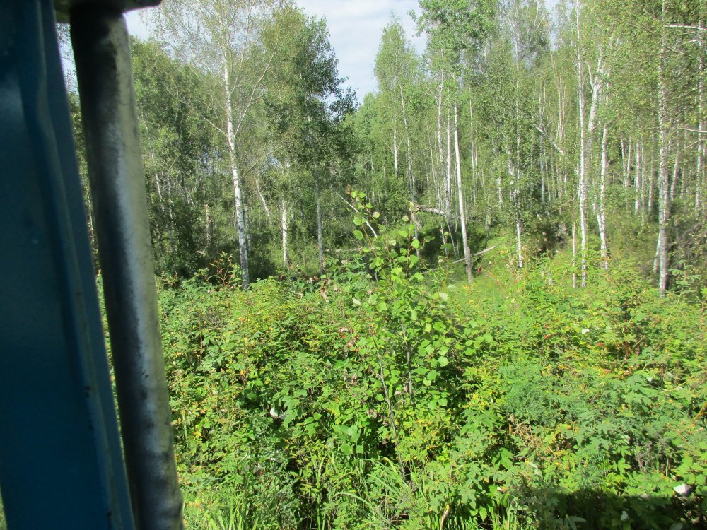 IMG_9712.JPG