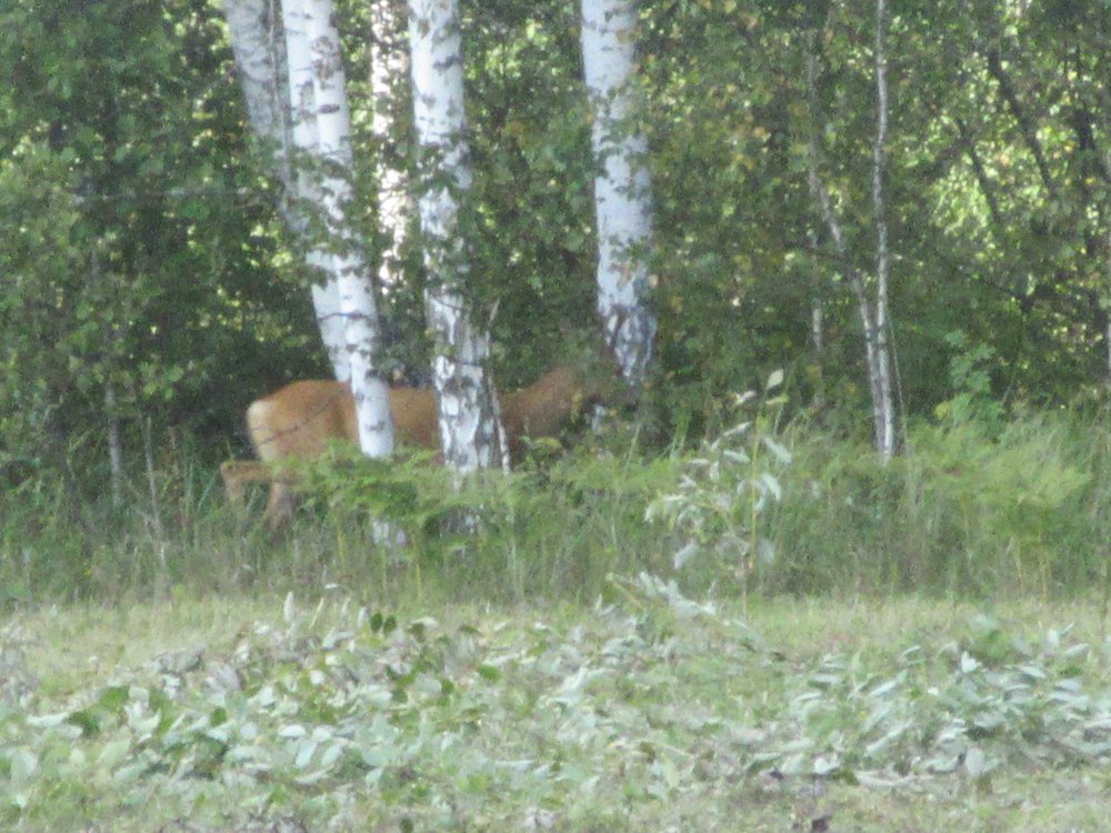 IMG_9748.JPG
