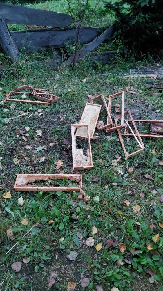 20260822_203625.jpg