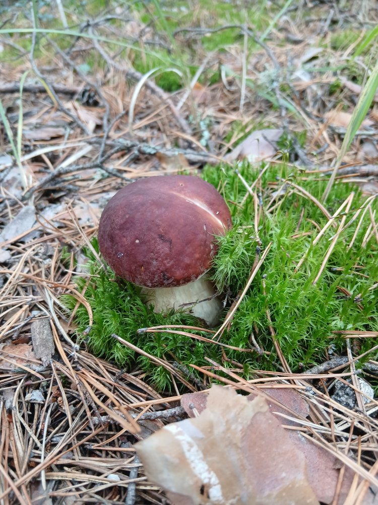 20260823_105830.jpg