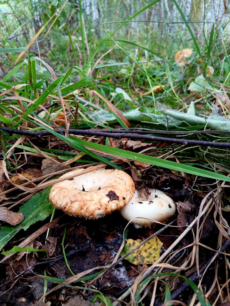 20260828_100846.jpg