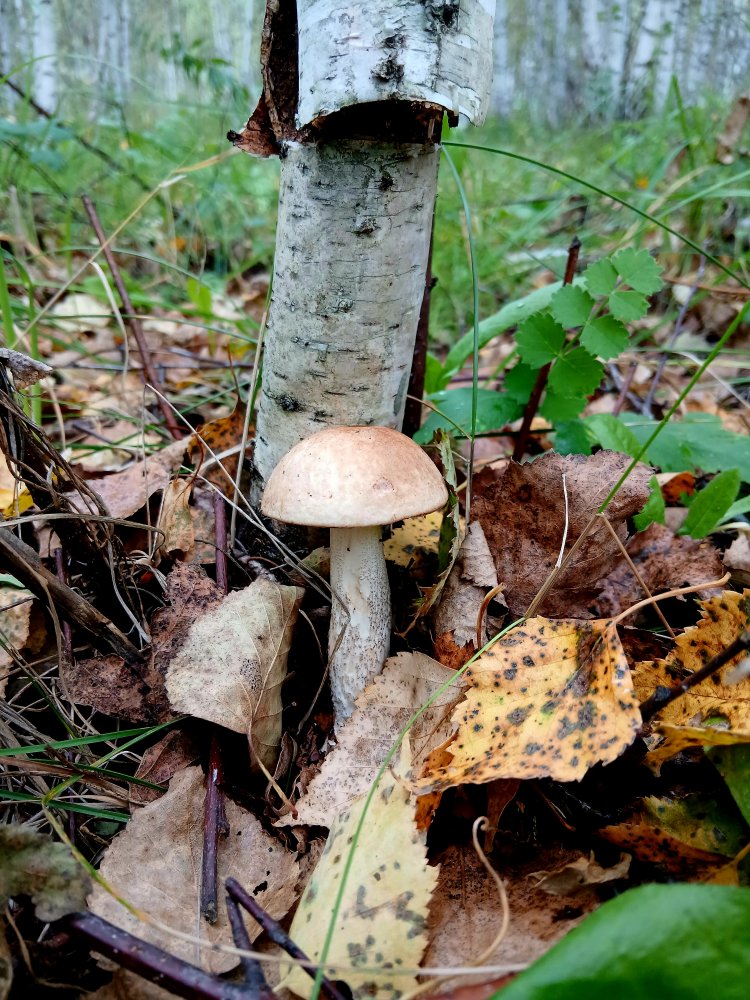 20260828_102936.jpg