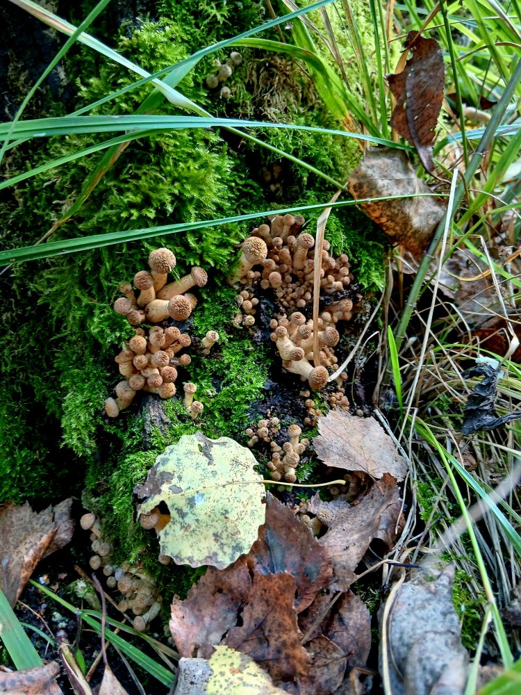 20260830_125549.jpg