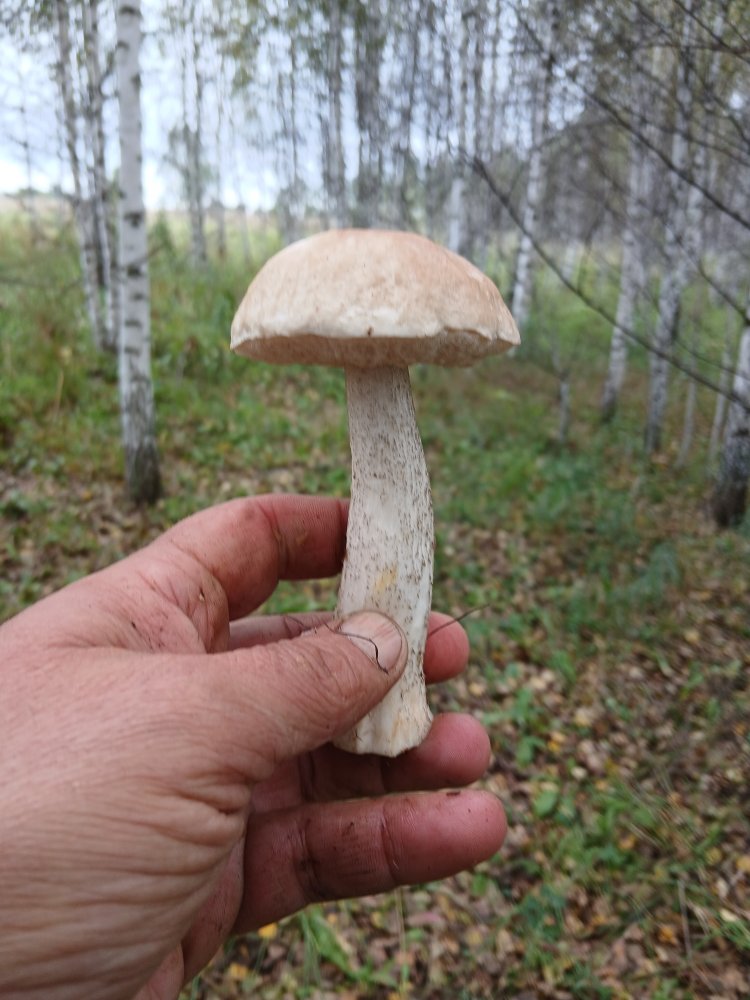 20260829_135916.jpg