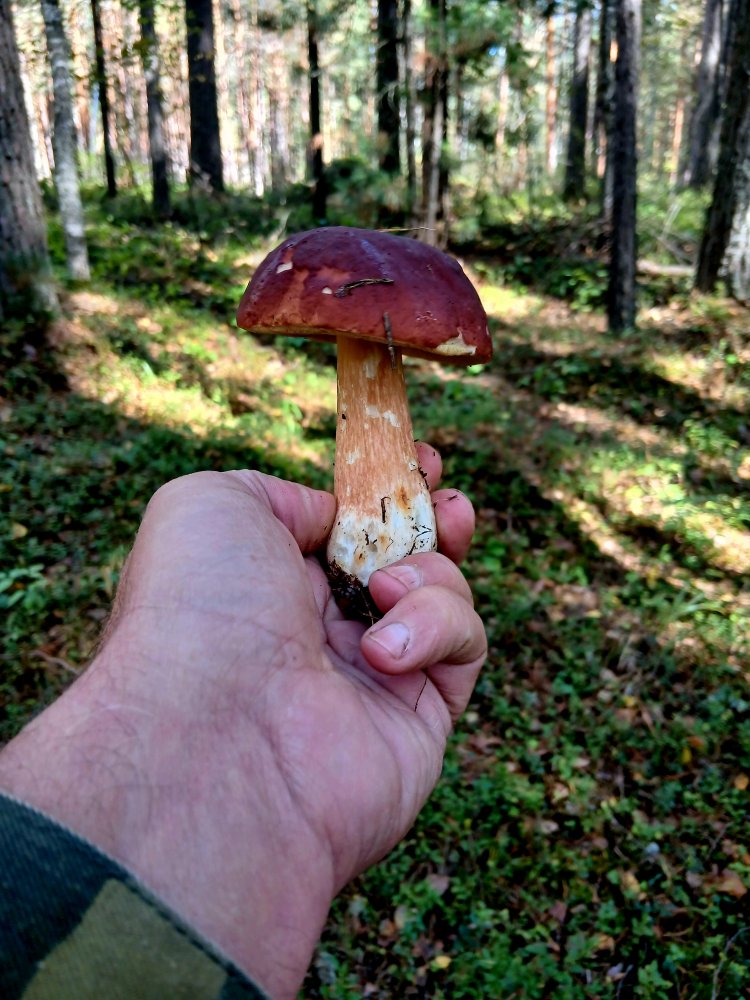 20260831_130951.jpg