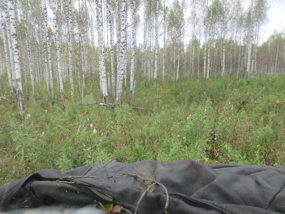 IMG_9802.JPG
