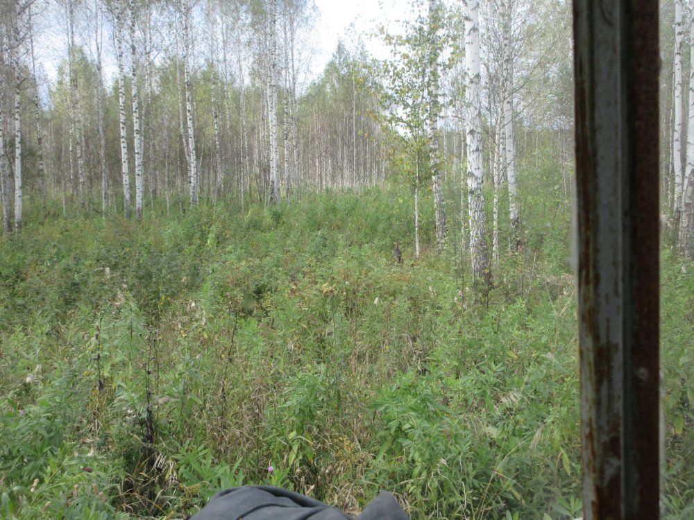 IMG_9808.JPG