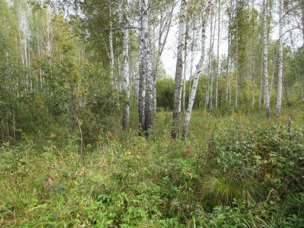 IMG_9829.JPG